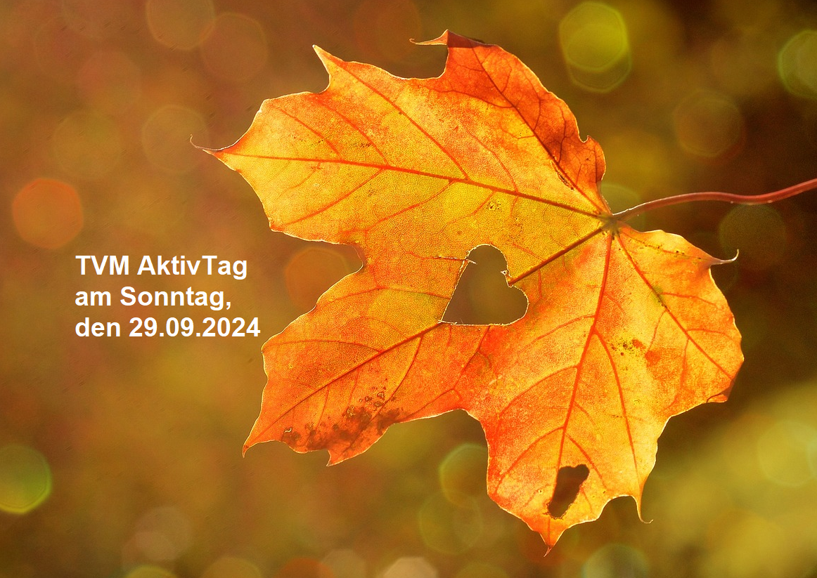 Aktivtag 29.09.2024